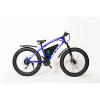 Pakzon PEC-FM Fat Mountain Electric Cycle - Powerful & Versatile