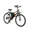 Pakzon PEC-RA Rider Electric Bicycle