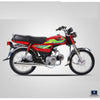 RP 70CC Passion Plus Motor Bike