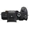 Sony Alpha a7 III Mirrorless Digital Camera (Body Only) (7328053100799)